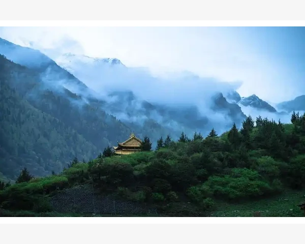 怀孕期间，如何用中医方法润肺止咳化痰