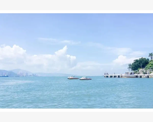 利润分红会计分录编制详解